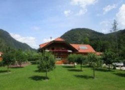 Bio les in sušilnica lesa d.o.o. Foto