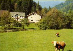 Gostišče in penzion Kupitz Foto