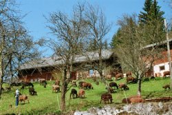 Kmetija Longo Mai Foto