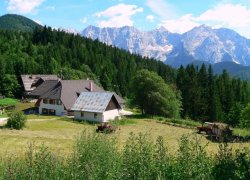 Gostilnica "Seebergstüberl" Foto