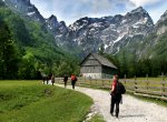 ROBANOV KOT Foto