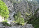 Naturwaldreservat ”Potok” Foto
